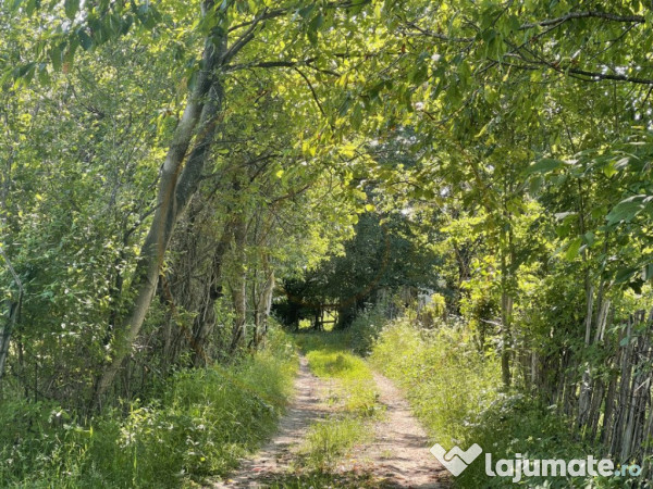 Teren Premium 1559 mp, Brebu Manastirei – Refugiu Montan l