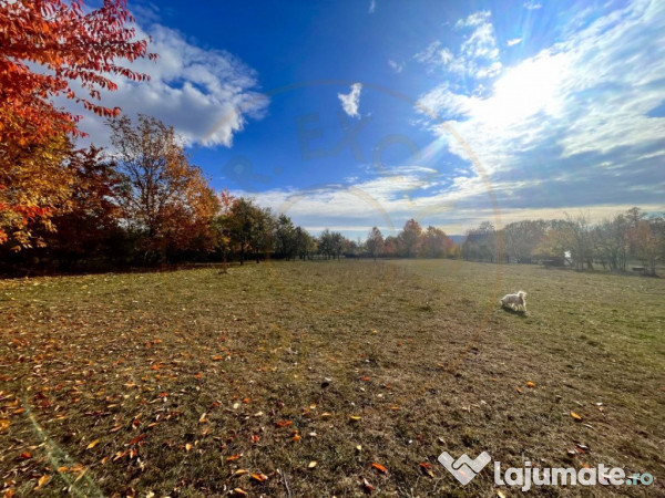 Teren Premium 1559 mp, Brebu Manastirei – Refugiu Montan l