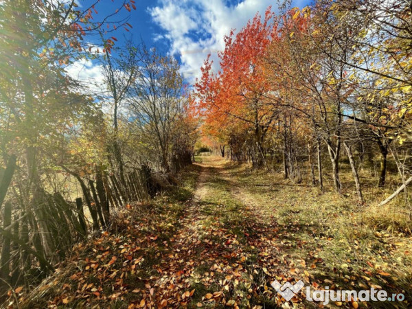 Teren Premium 1559 mp, Brebu Manastirei – Refugiu Montan l