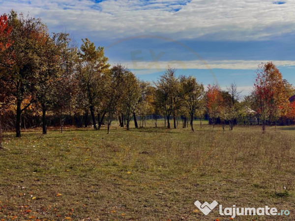 Teren Premium 1559 mp, Brebu Manastirei – Refugiu Montan l