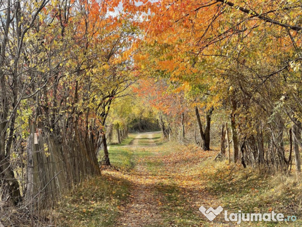 Teren Premium 1559 mp, Brebu Manastirei – Refugiu Montan l