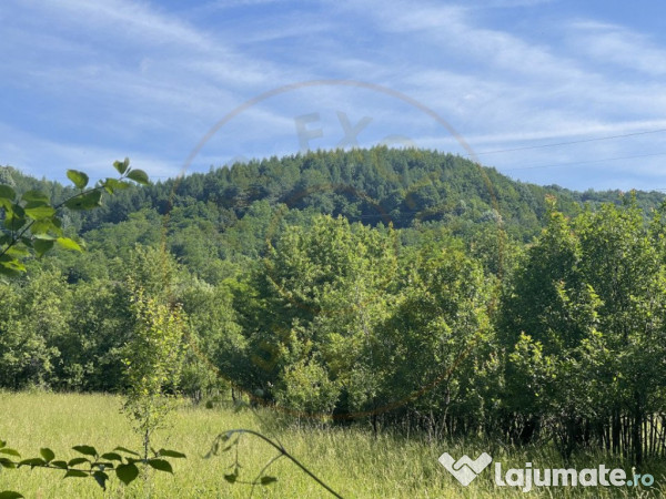 Teren Premium 1559 mp, Brebu Manastirei – Refugiu Montan l