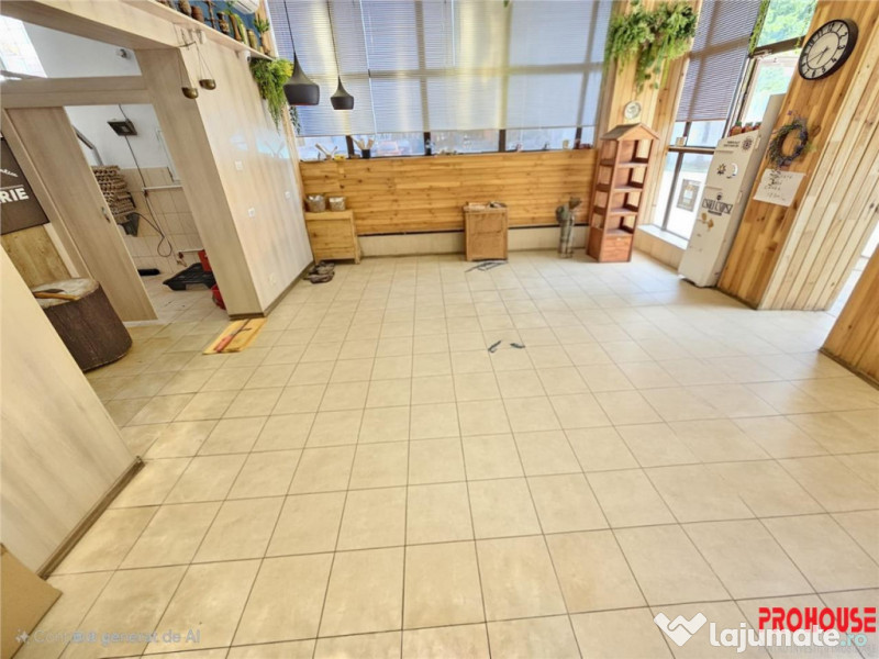 Spatiu comercial, 57mp, Cornisa