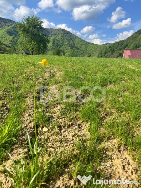 Teren 1059 mp in Raul Sadului– Natura liniste si investit 