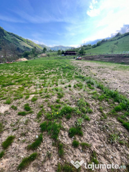 Teren 1059 mp in Raul Sadului– Natura liniste si investit 