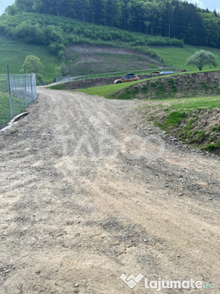 Teren 1059 mp in Raul Sadului– Natura liniste si investit 