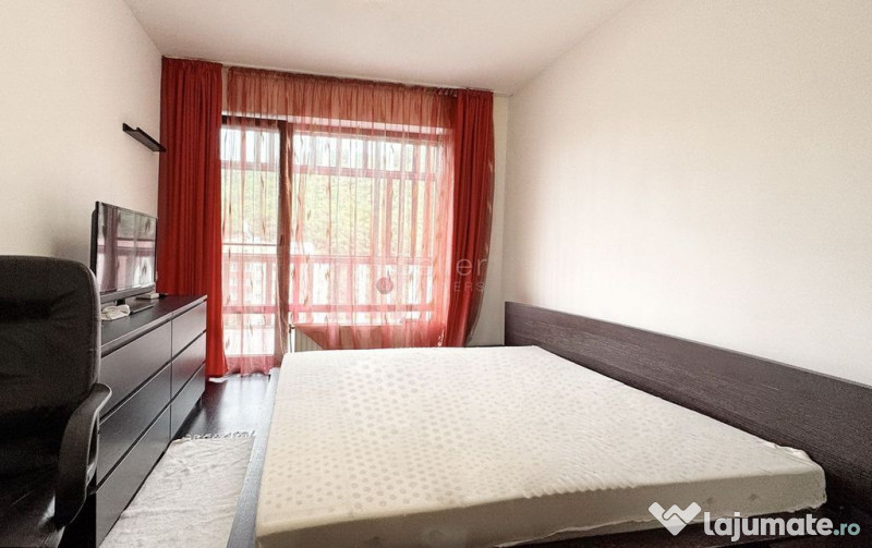 Pet Friendly complex Tampa Gardens