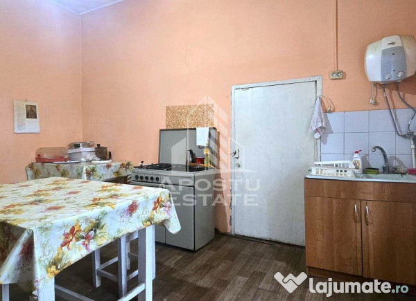 Proprietate cu potential turistic in Gurahont