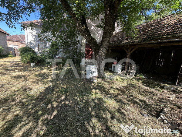 Casa cu potential de investitie in centrul satului 1540 mp t