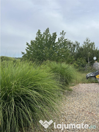 RECO IMOBILIARE TEREN ORADEA 