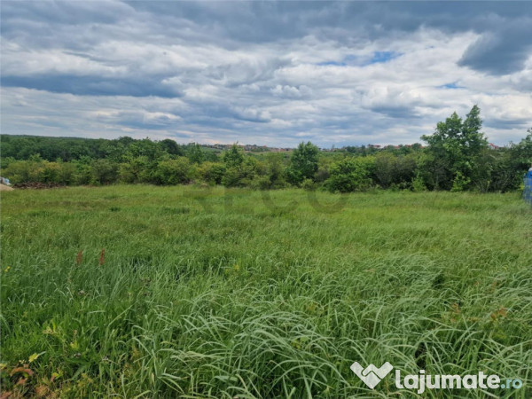 RECO teren intravilan Saldabagiu de Munte 