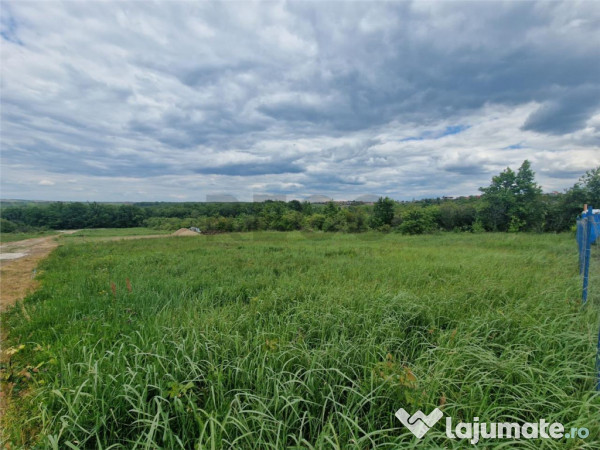 RECO teren intravilan Saldabagiu de Munte 