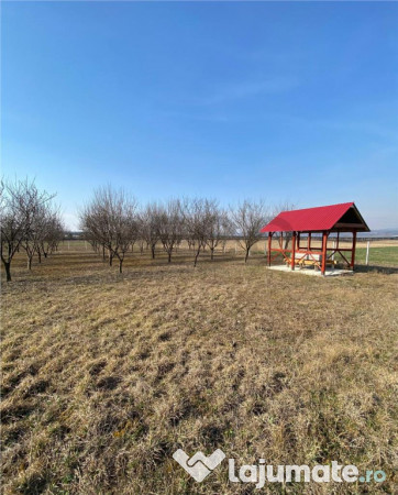 RECO Teren intravilan in zona Alesd Sat Subpiatra 800mp 