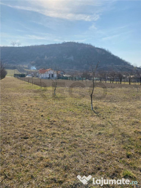 RECO Teren intravilan in zona Alesd Sat Subpiatra 800mp 