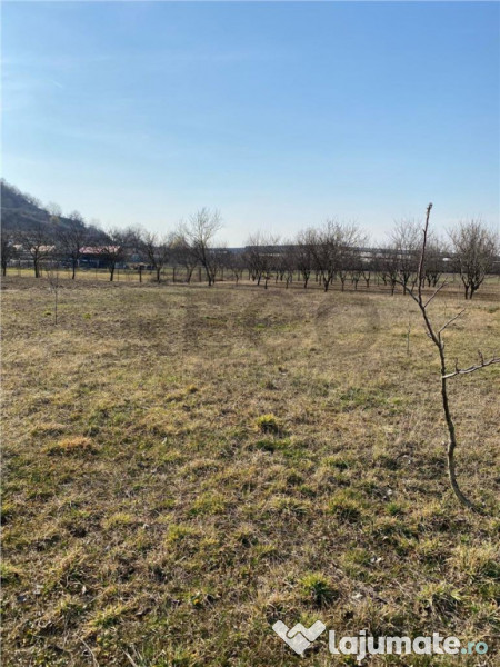 RECO Teren intravilan in zona Alesd Sat Subpiatra 800mp 