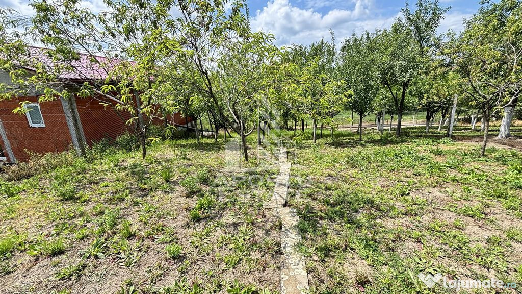 Casa spatioasa, teren 1348 mp, Giarmata