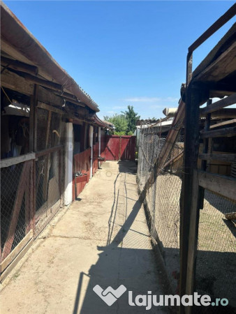 RECO Casa 3 Camere Cu Teren Generos In Felcheriu