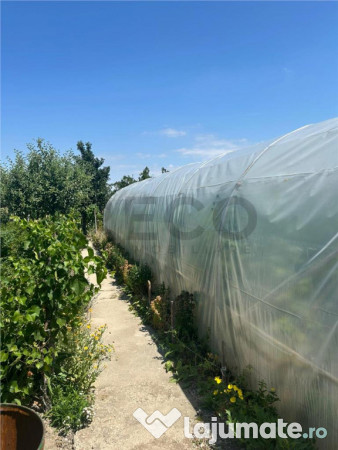 RECO Casa 3 Camere Cu Teren Generos In Felcheriu