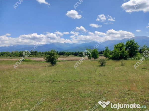 Teren intravilan 5000 mp pe Valea Avrigului, Sibiu