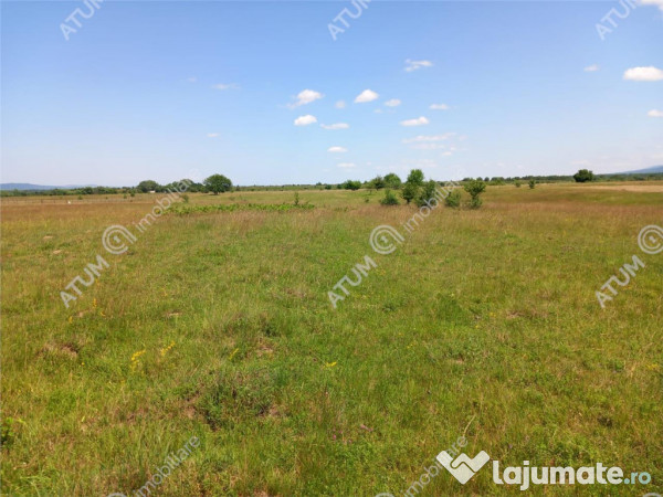 Teren intravilan 5000 mp pe Valea Avrigului, Sibiu