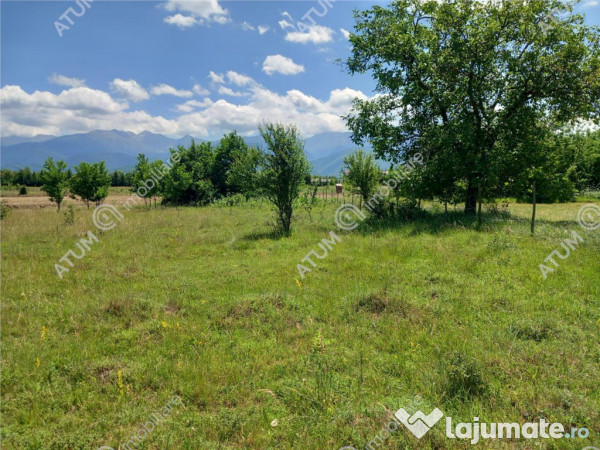 Teren intravilan 5000 mp pe Valea Avrigului, Sibiu