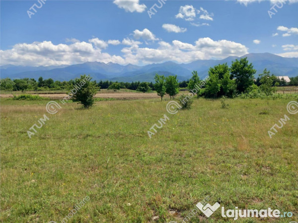 Teren intravilan 5000 mp pe Valea Avrigului, Sibiu