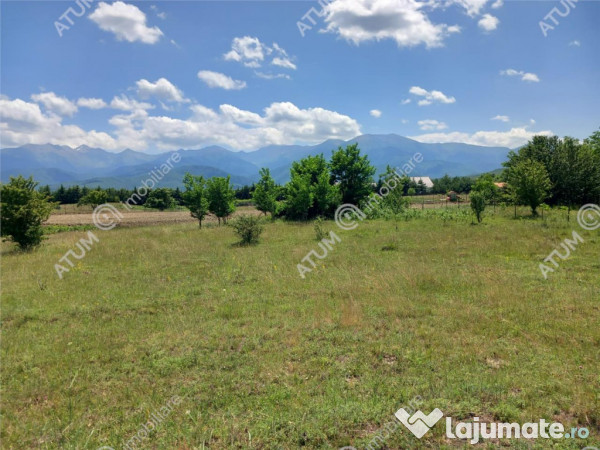 Teren intravilan 5000 mp pe Valea Avrigului, Sibiu