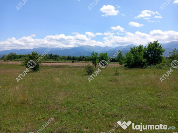 Teren intravilan 5000 mp pe Valea Avrigului, Sibiu