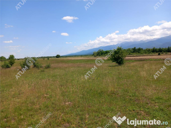 Teren intravilan 5000 mp pe Valea Avrigului, Sibiu