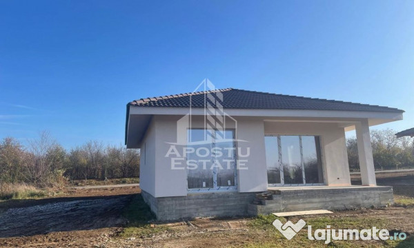 Casa individuala in Petrovaselo