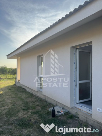 Casa individuala in Petrovaselo