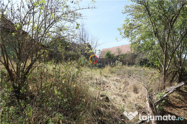 Casa traditionala Bruiu Somartin judet Sibiu