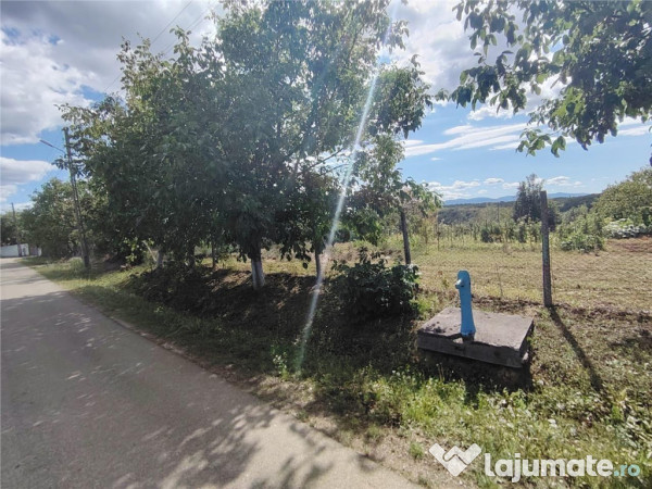 RECO teren intravilan in Saliste de Beius 