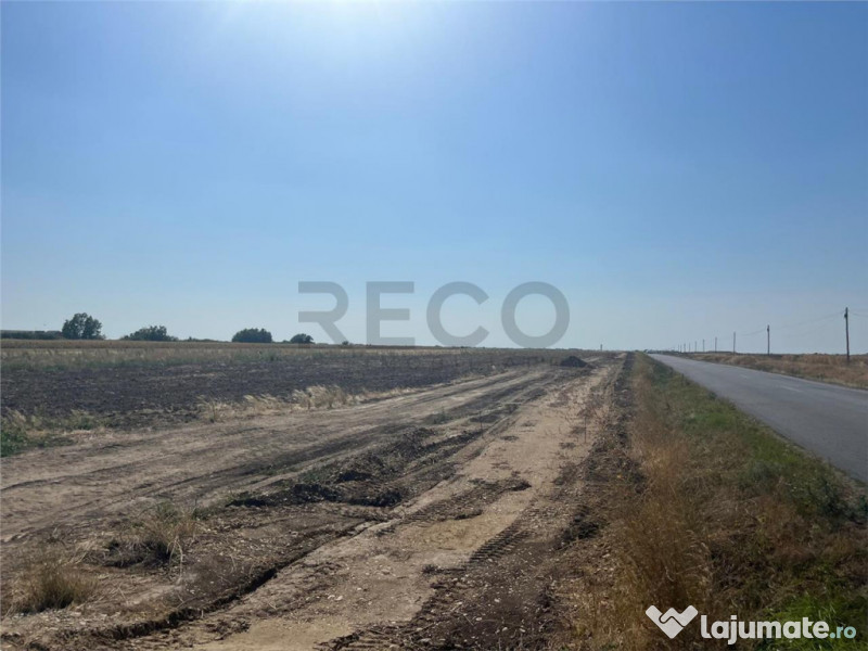 RECO Teren extravilan cu acces la drumul Oradea-Livada de B 