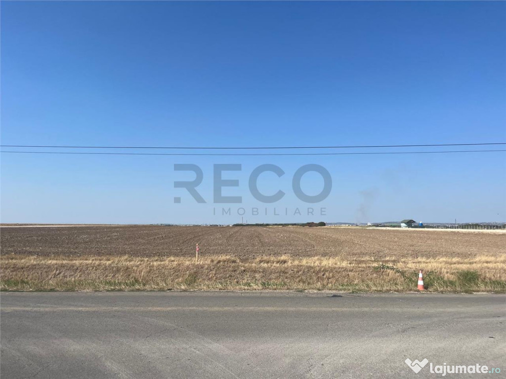 RECO Teren extravilan cu acces la drumul Oradea-Livada de B 