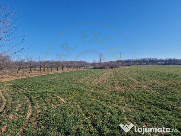 Teren intravilan comuna Sapata, Arges! 