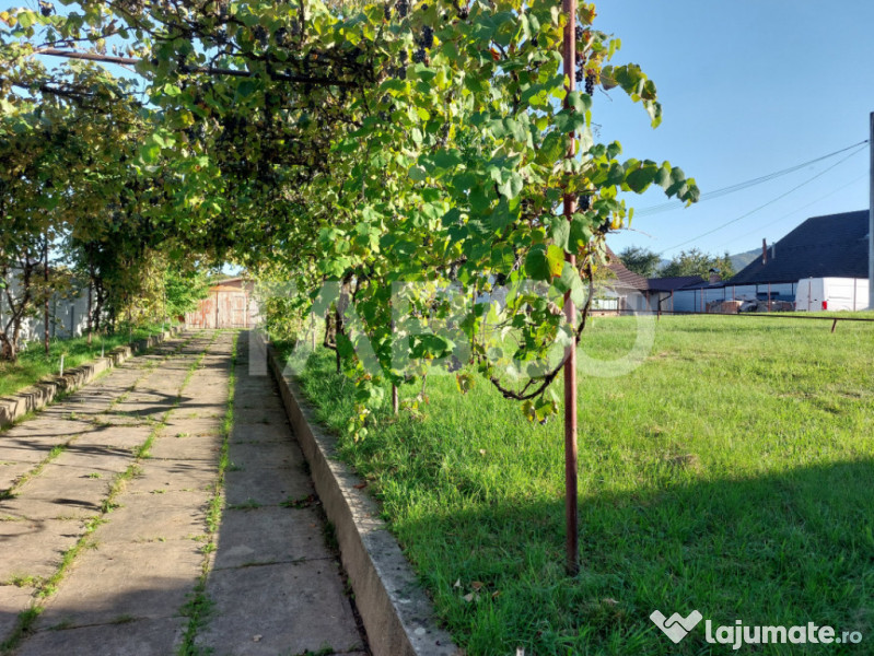 Teren intravilan 1298 mp PUZ toate utilitatile zona buna Ci 