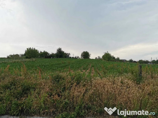 Teren 2800mp in Soparlita, Olt 