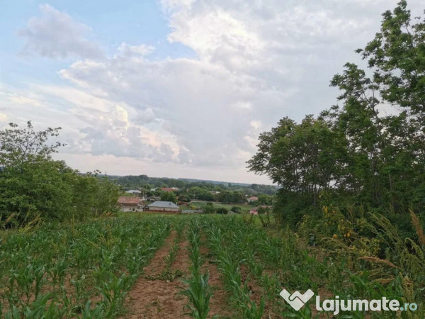 Teren 2800mp in Soparlita, Olt 