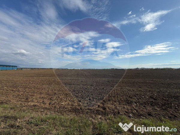 VANZARE Teren intravilan industrial BUFTEA/Strada Milano/... 