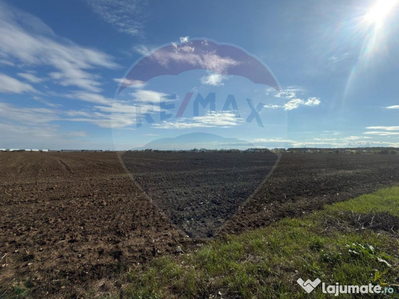 VANZARE Teren intravilan industrial BUFTEA/Strada Milano/... 