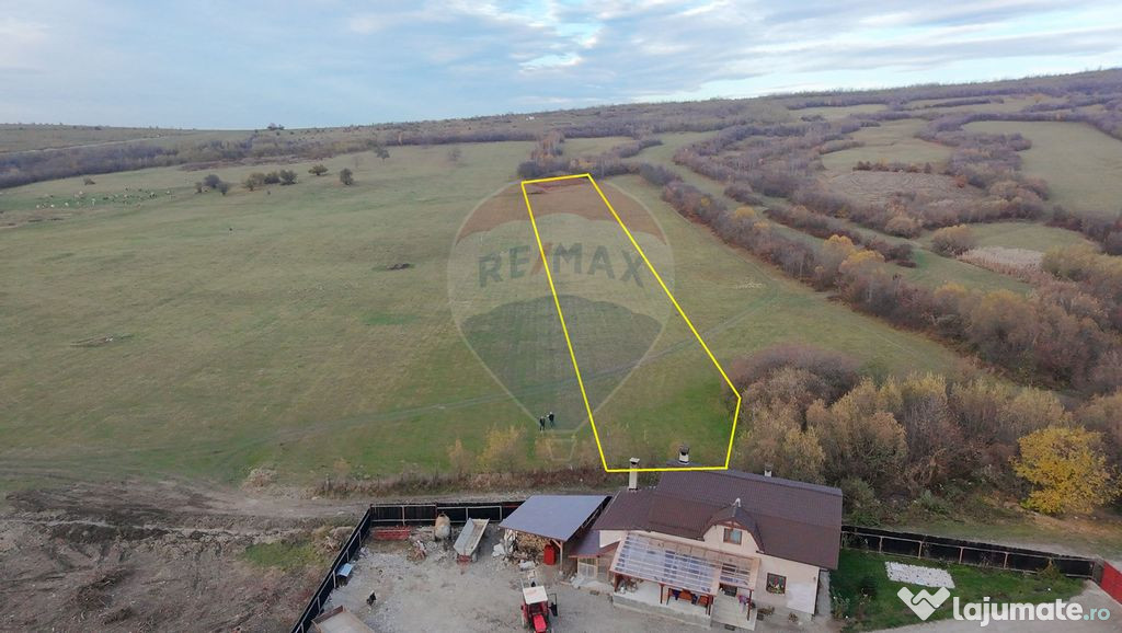 Teren 5.800 mp Purcareni curent, gaz, apă / Strada 30 de...