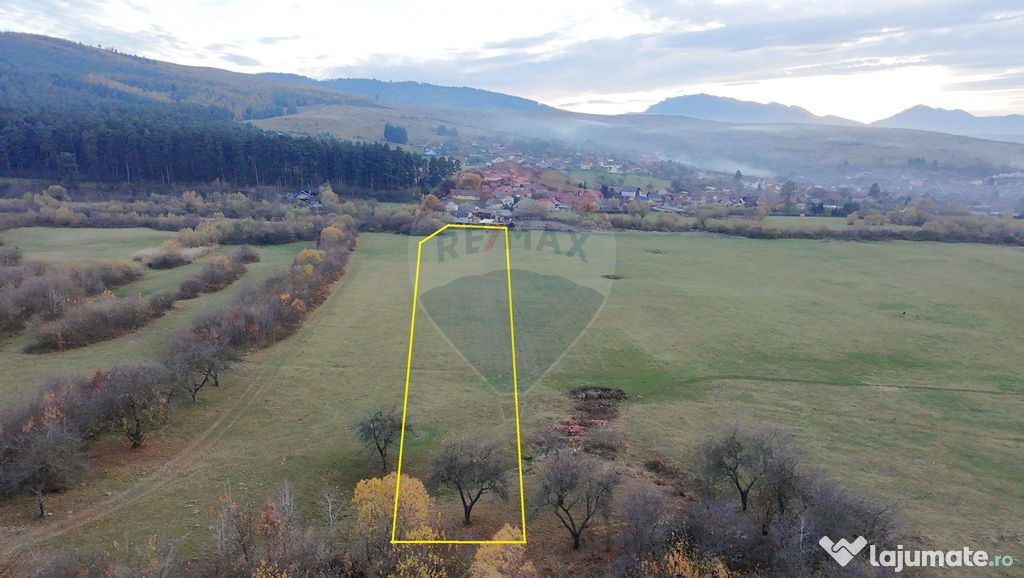 Teren 5.800 mp Purcareni curent, gaz, apă / Strada 30 de...