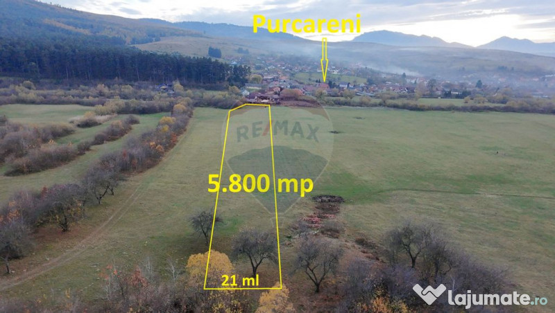 Teren 5.800 mp Purcareni curent, gaz, apă / Strada 30 de...
