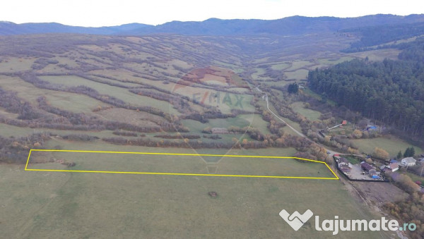 Teren 5.800 mp Purcareni curent, gaz, apă / Strada 30 de...