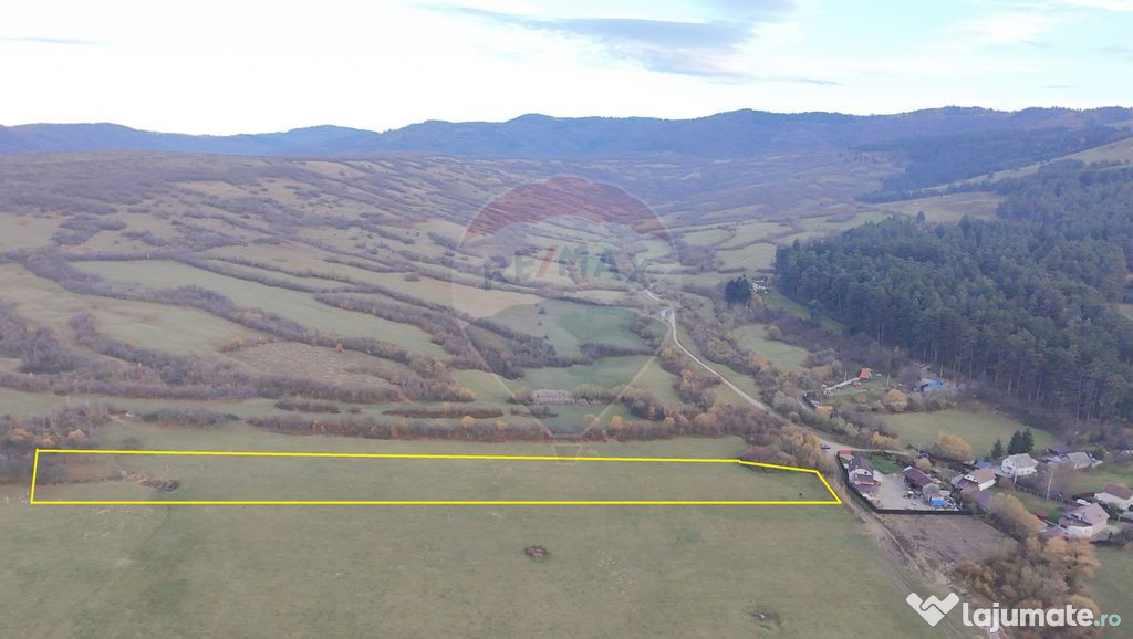 Teren 5.800 mp Purcareni curent, gaz, apă / Strada 30 de...