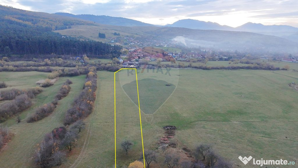 Teren 5.800 mp Purcareni curent, gaz, apă / Strada 30 de...