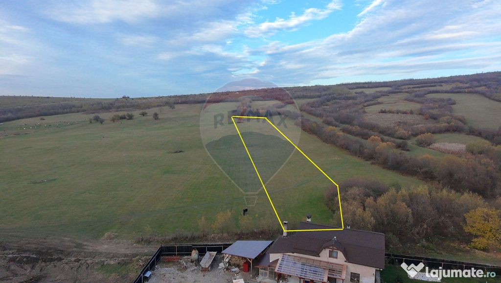 Teren 5.800 mp Purcareni curent, gaz, apă / Strada 30 de...