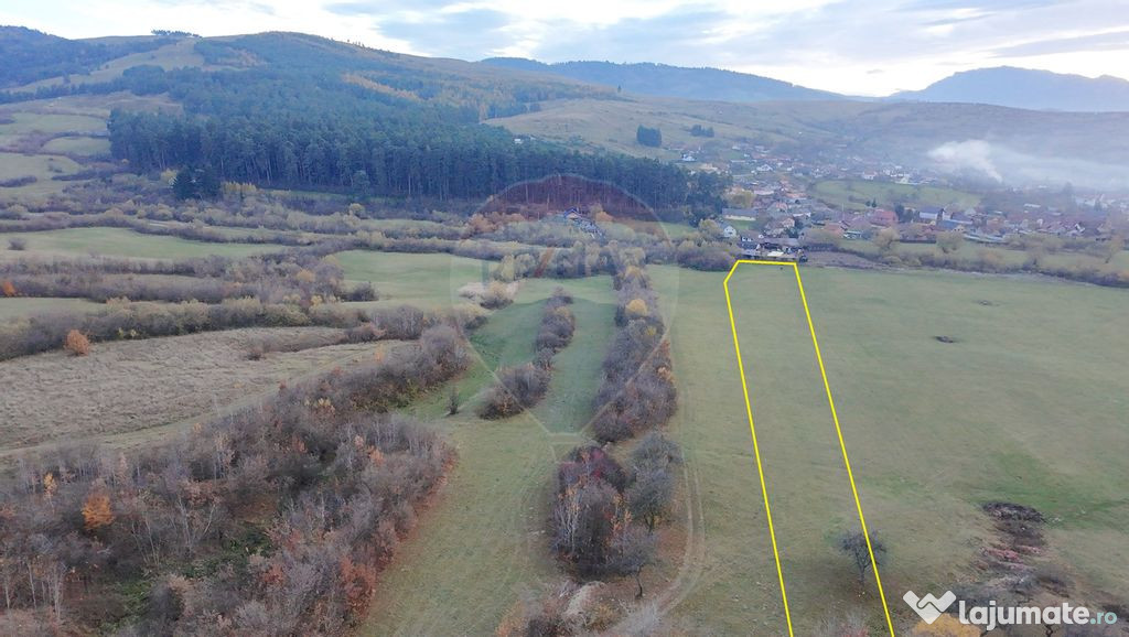 Teren 5.800 mp Purcareni curent, gaz, apă / Strada 30 de...