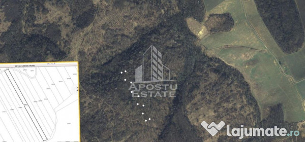 Teren Cuied – Livada 5400 mp 